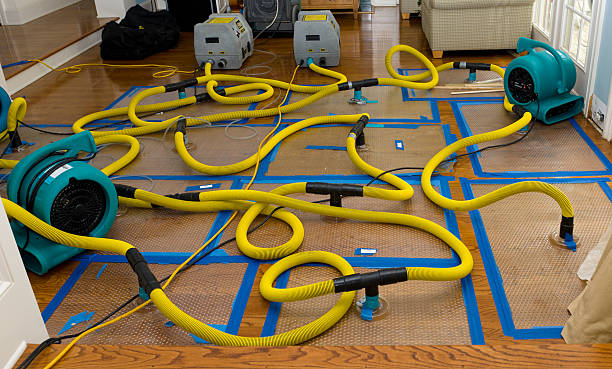 Professional Water Damage Repair technician working in West Orange, TX
